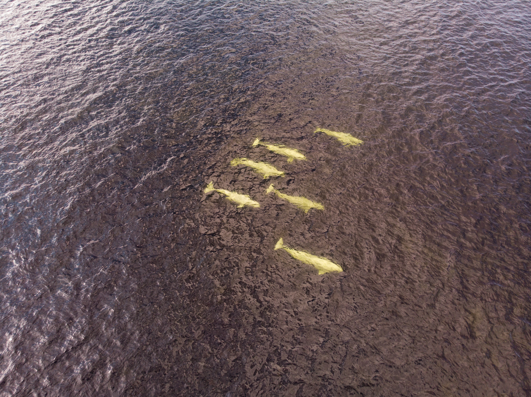 На Соловки вместе с фотографом (16/21)