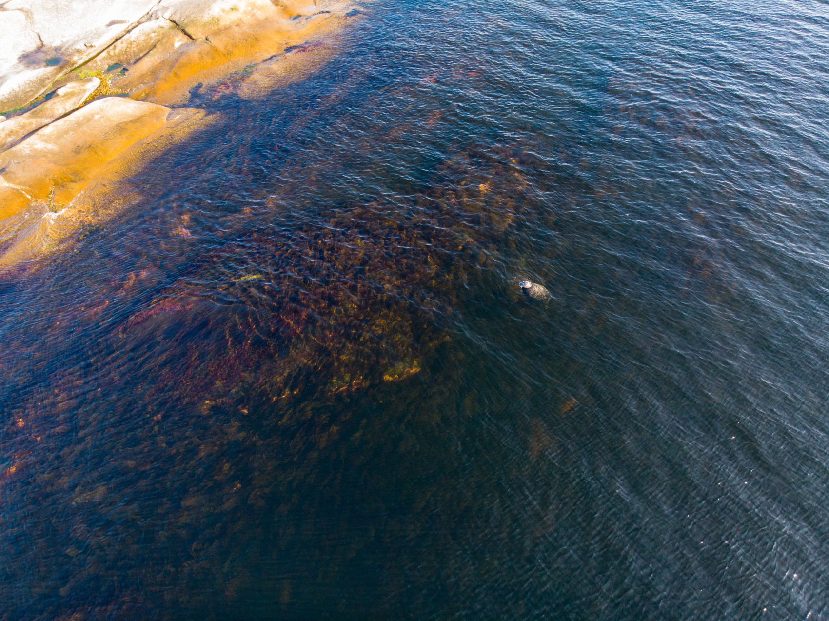 На Соловки вместе с фотографом (17/21)