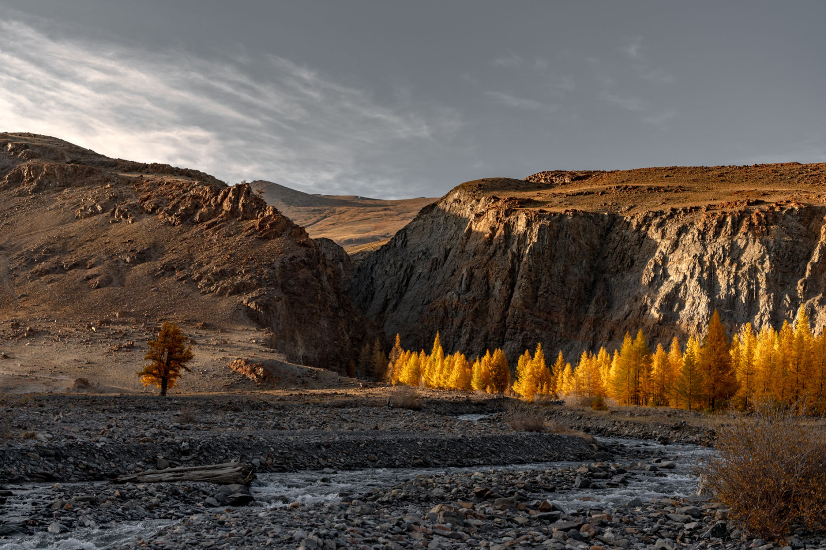 Южно-Чуйские прогулки с фотографом (14/57)
