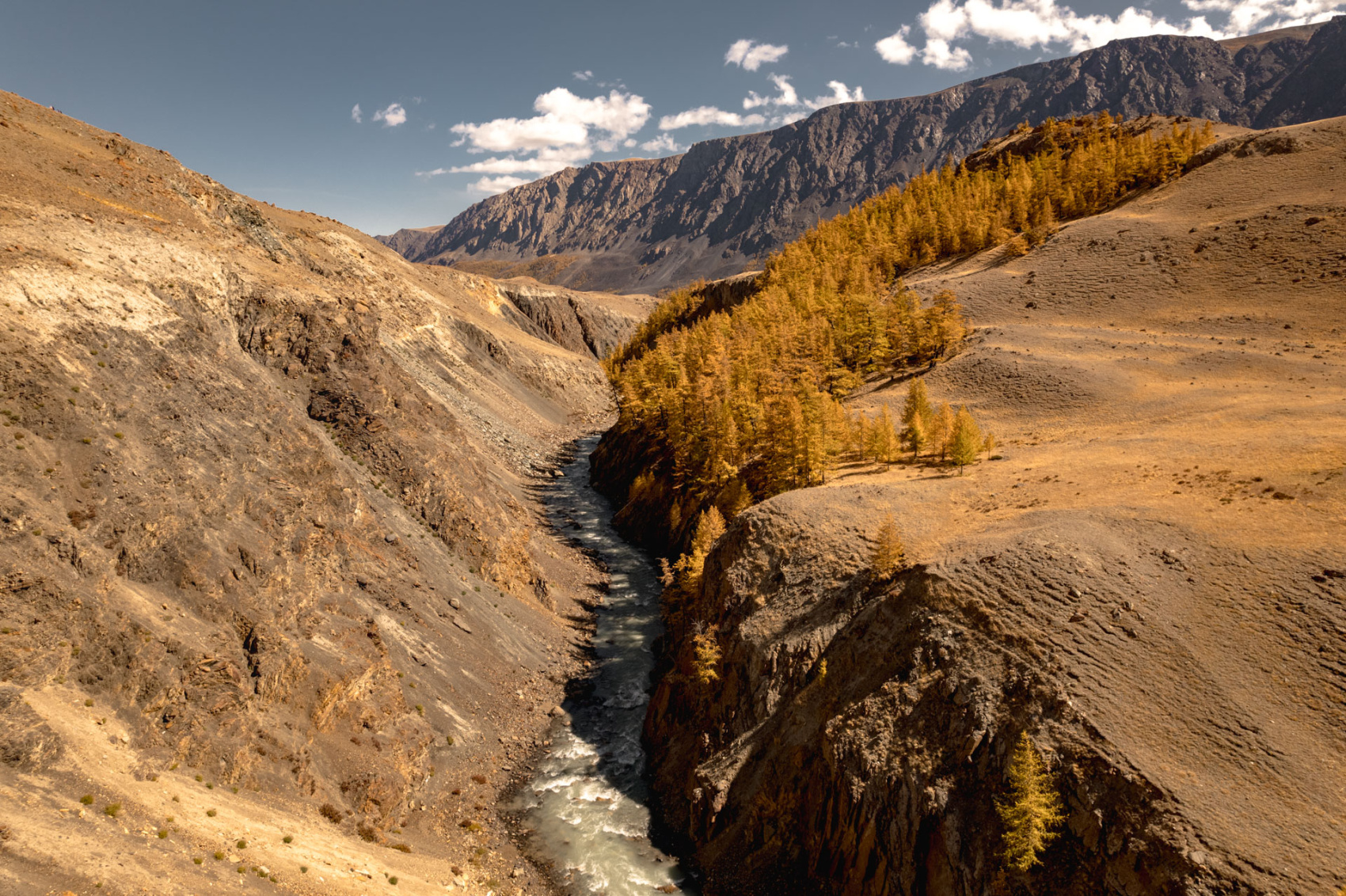 Южно-Чуйские прогулки с фотографом (17/57)