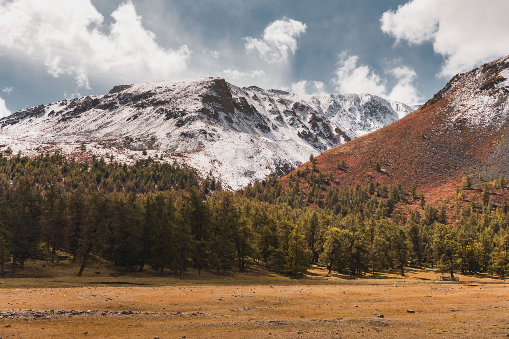 Южно-Чуйские прогулки с фотографом (23/57)