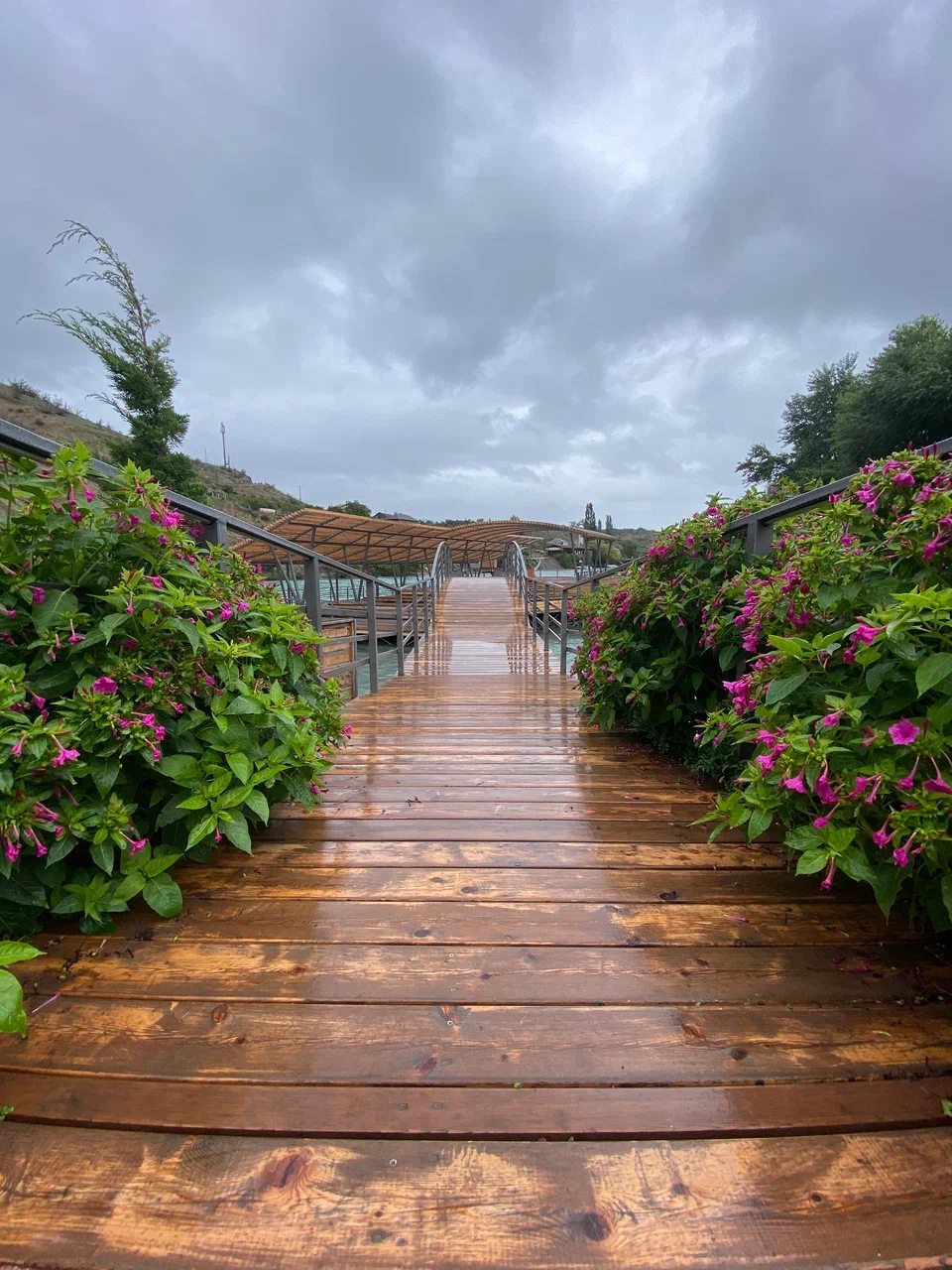 Вайб Дагестана. 4 дня (6/12)