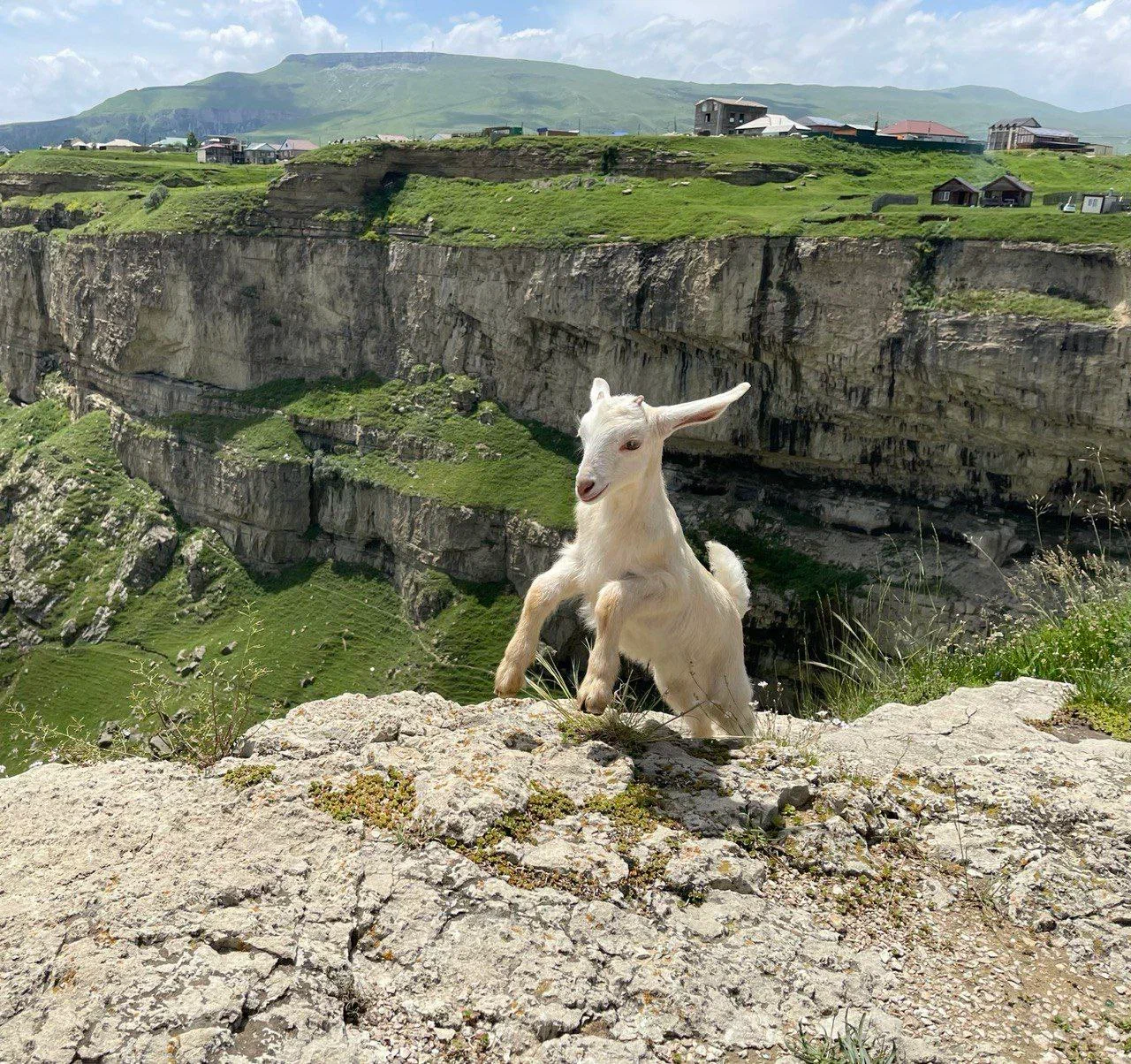 Вайб Дагестана. 4 дня (7/12)