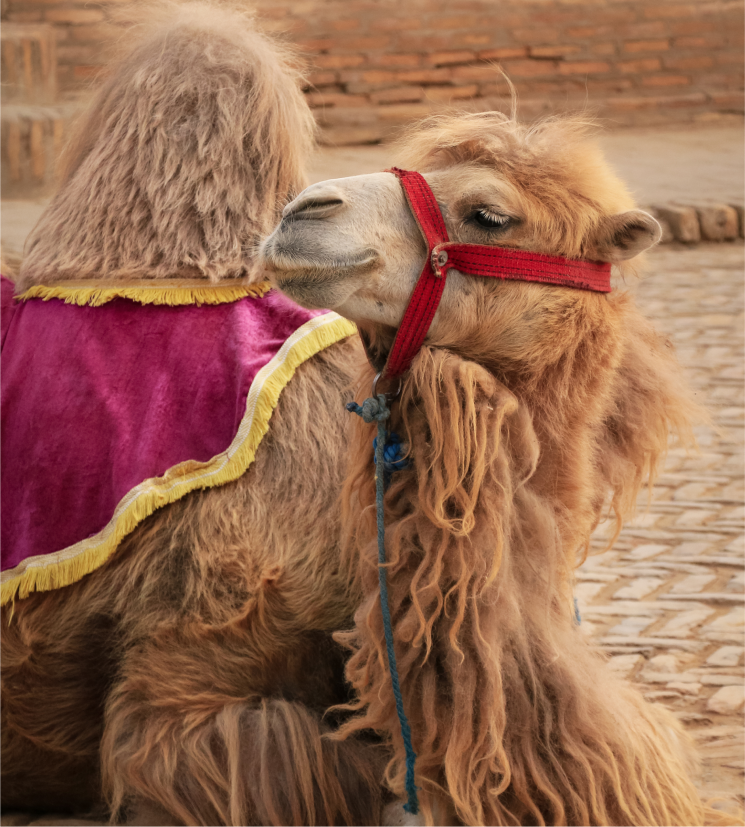 Узбекистан. Сказка Древнего Востока (12/31)