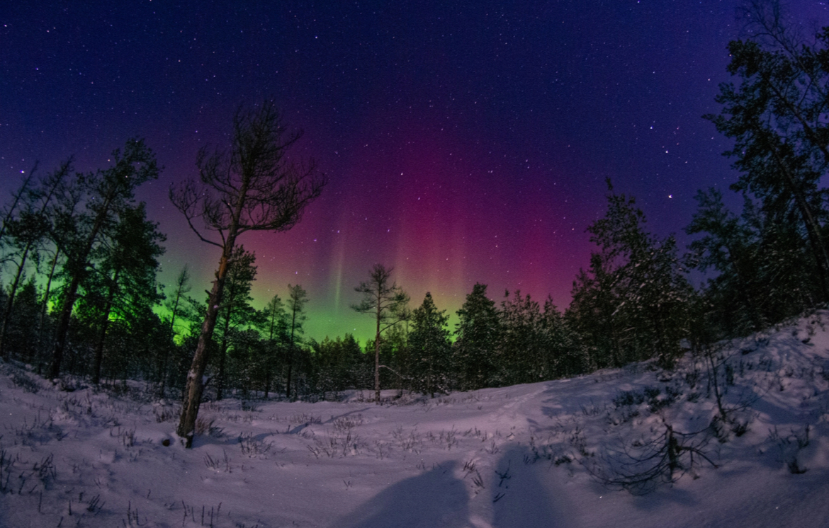 Вся Карелия. Лучший способ полюбить зиму! (45/57)