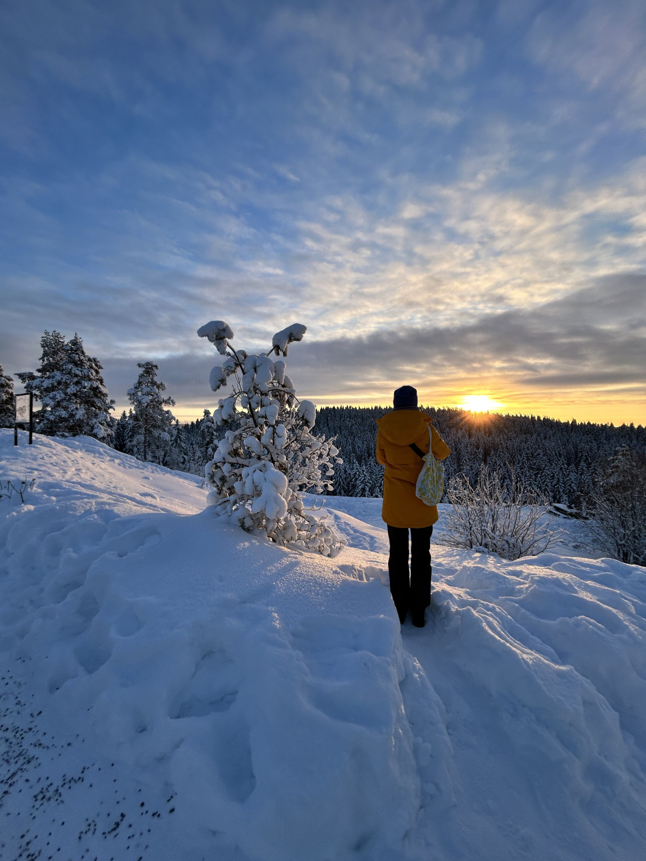Вся Карелия. Лучший способ полюбить зиму! (27/57)