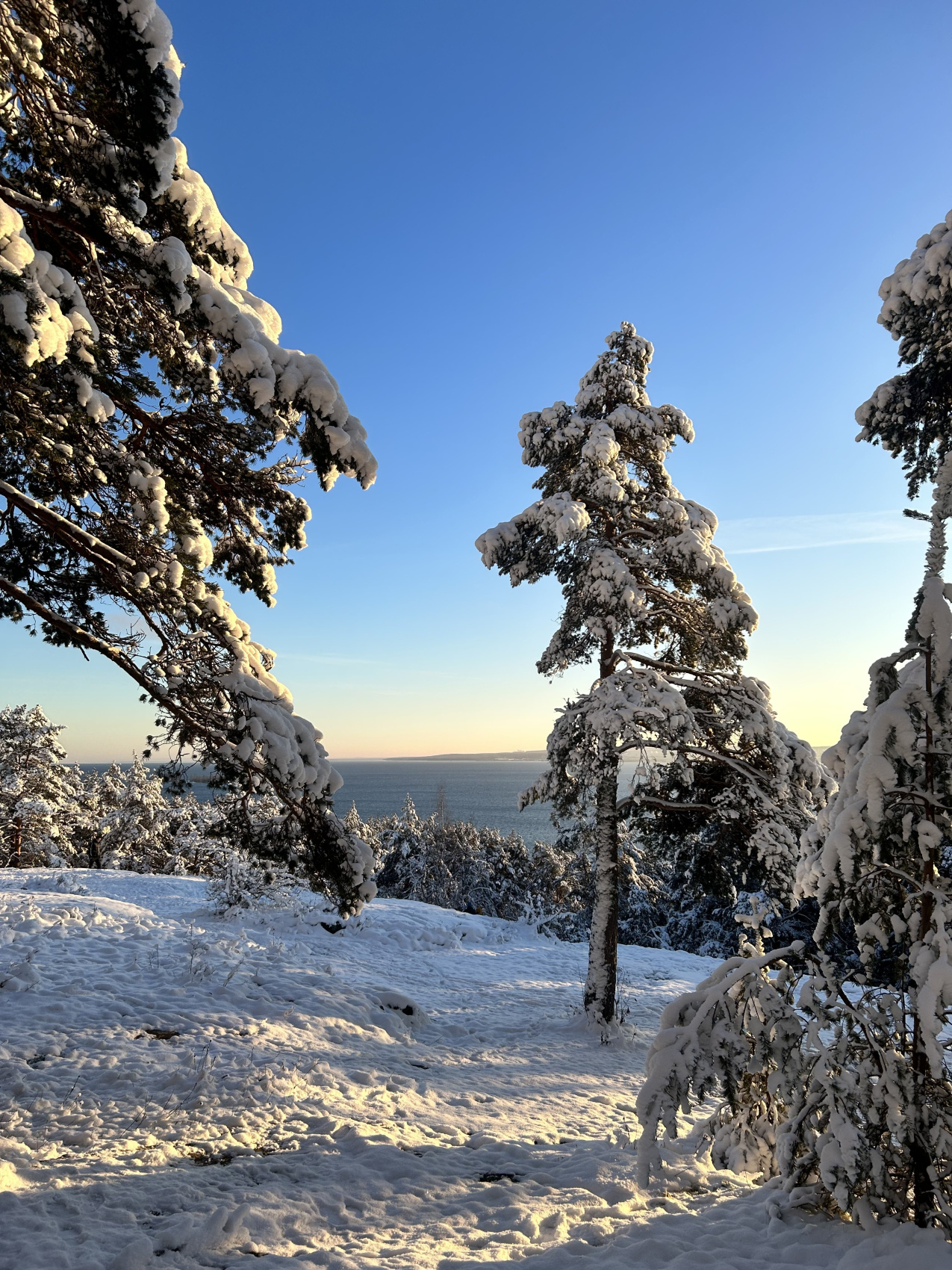 Вся Карелия. Лучший способ полюбить зиму! (11/57)