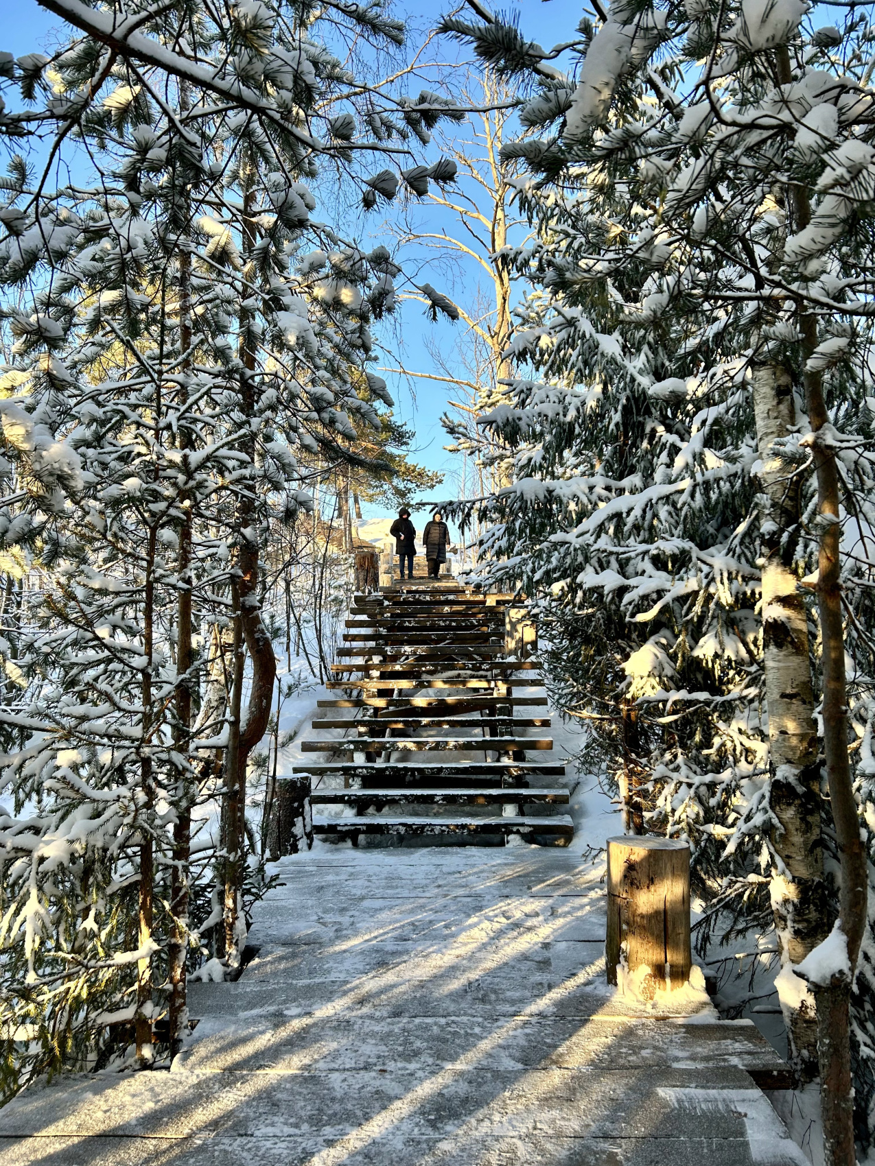 Вся Карелия. Лучший способ полюбить зиму! (15/57)