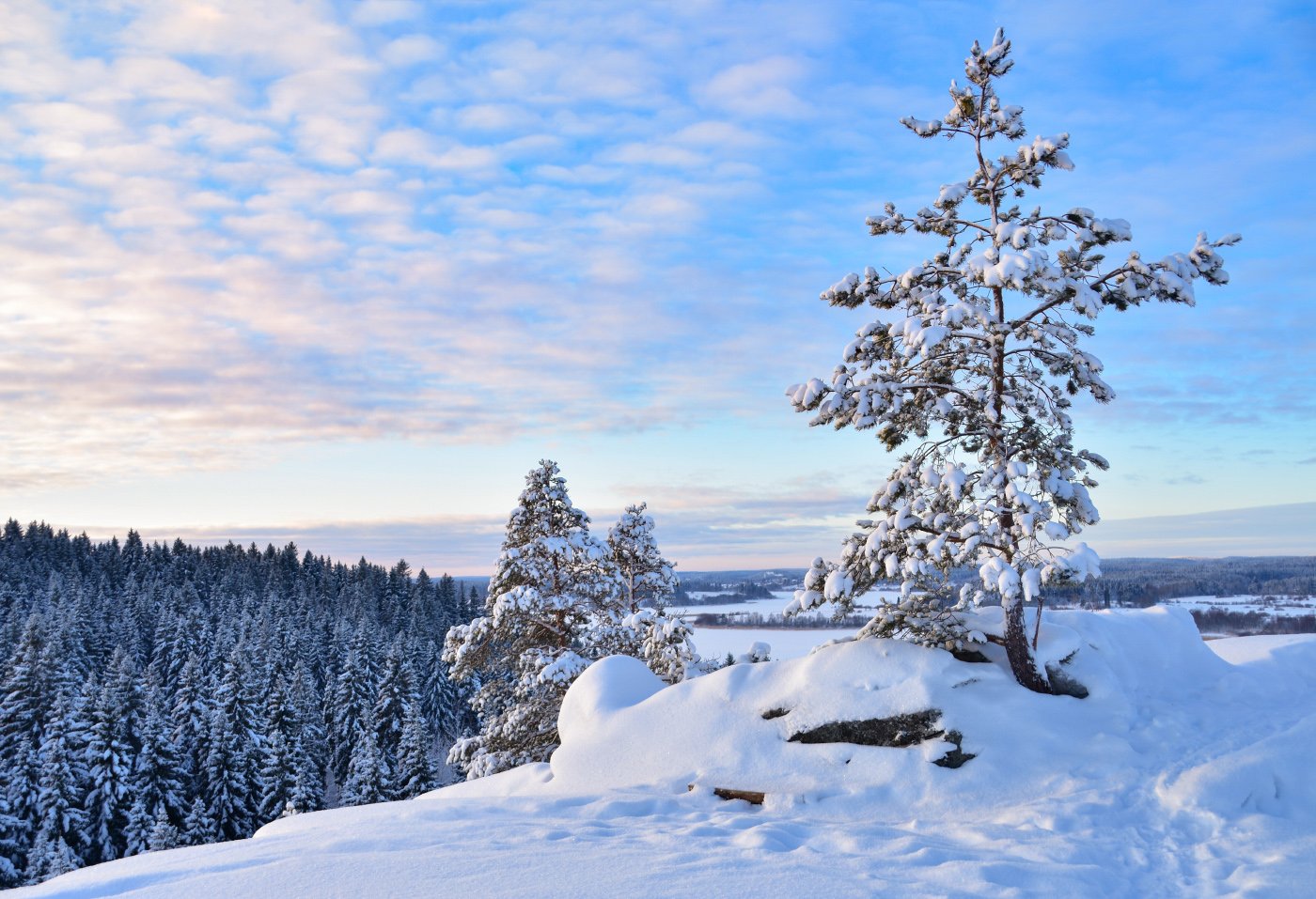 Вся Карелия. Лучший способ полюбить зиму! (7/57)
