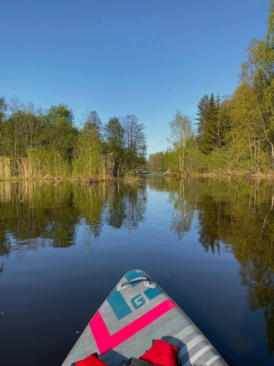 Sup сплав по реке Луга (г.Луга) (8/20)