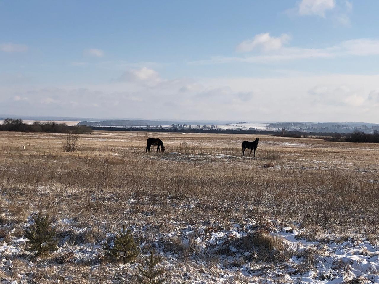 Ольхон за 3 дня. Зима (42/58)