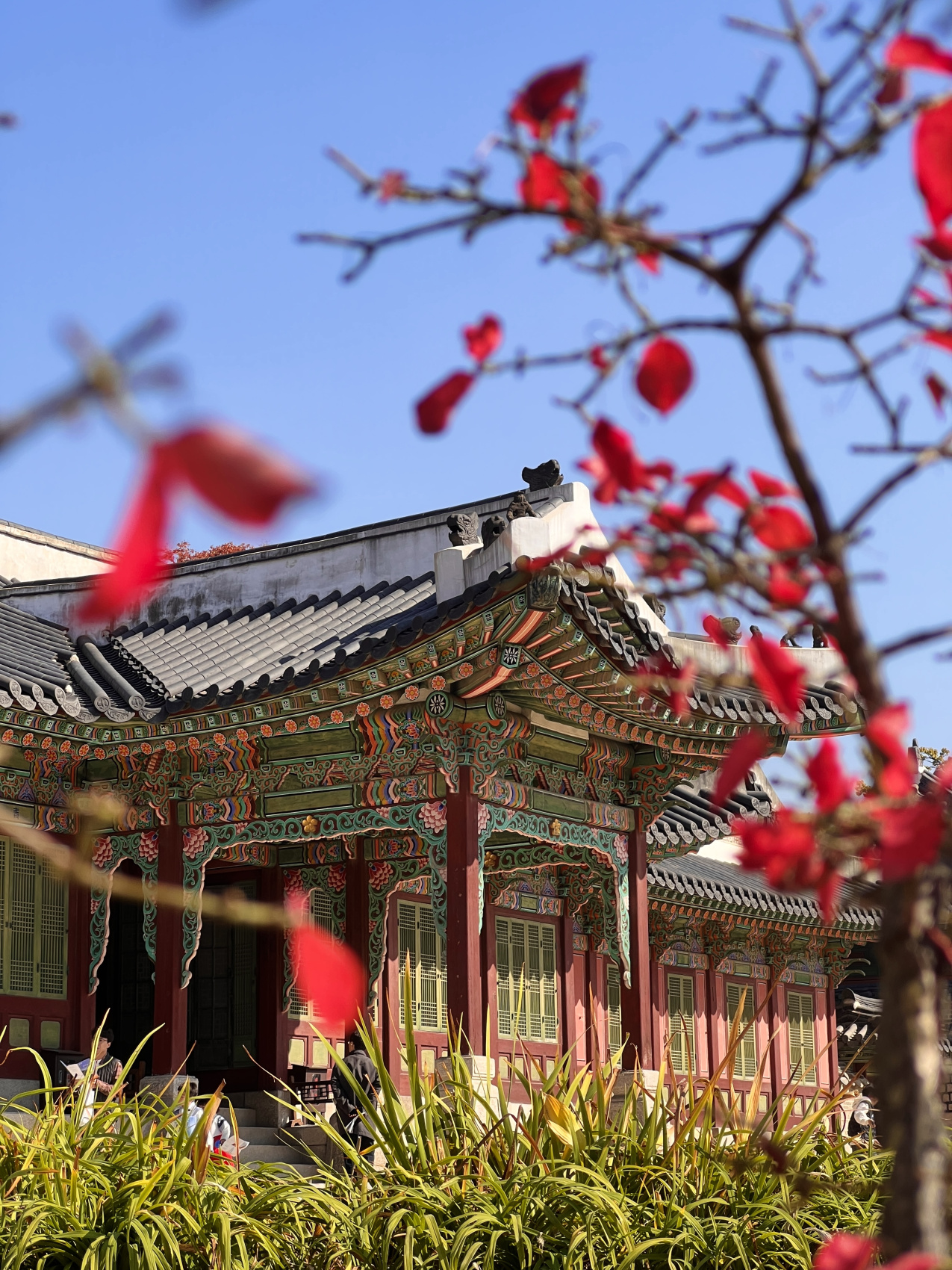 Осень в Корее. Сеул, Пусан, ночевка в храме + остров Чеджу (2/45)