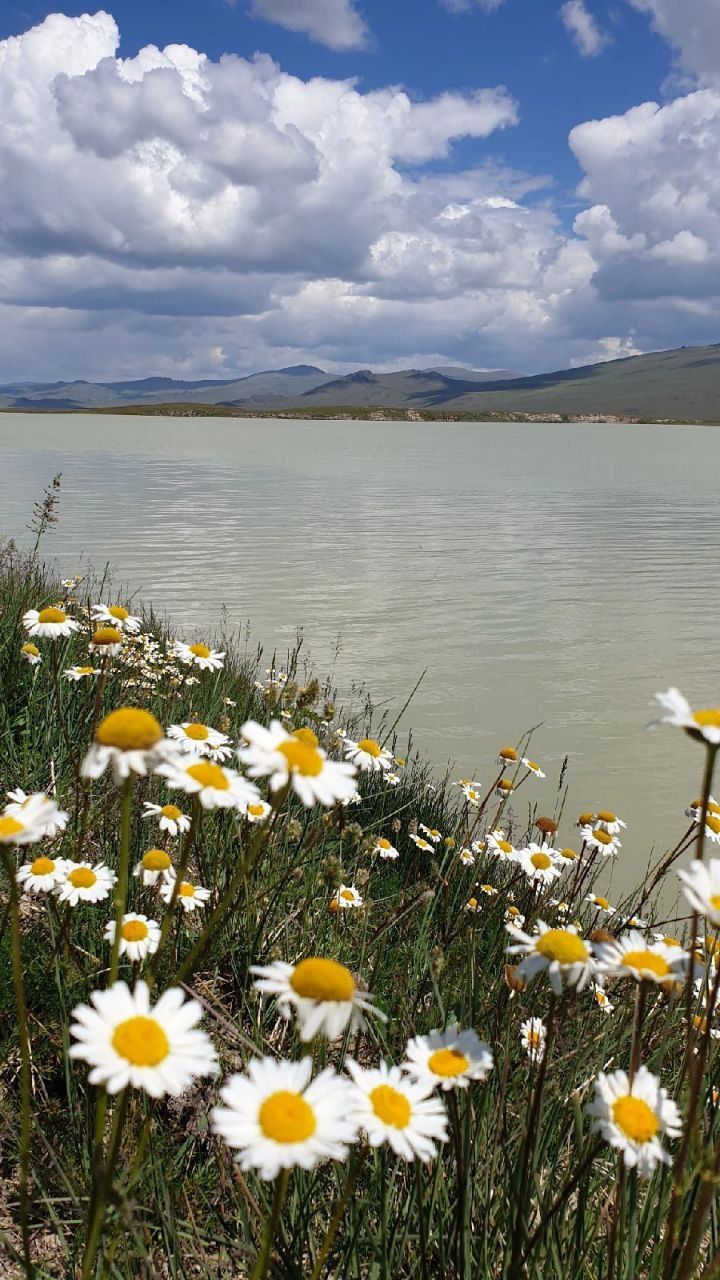 Непостижимое сердце Укока за 4 дня (19/32)