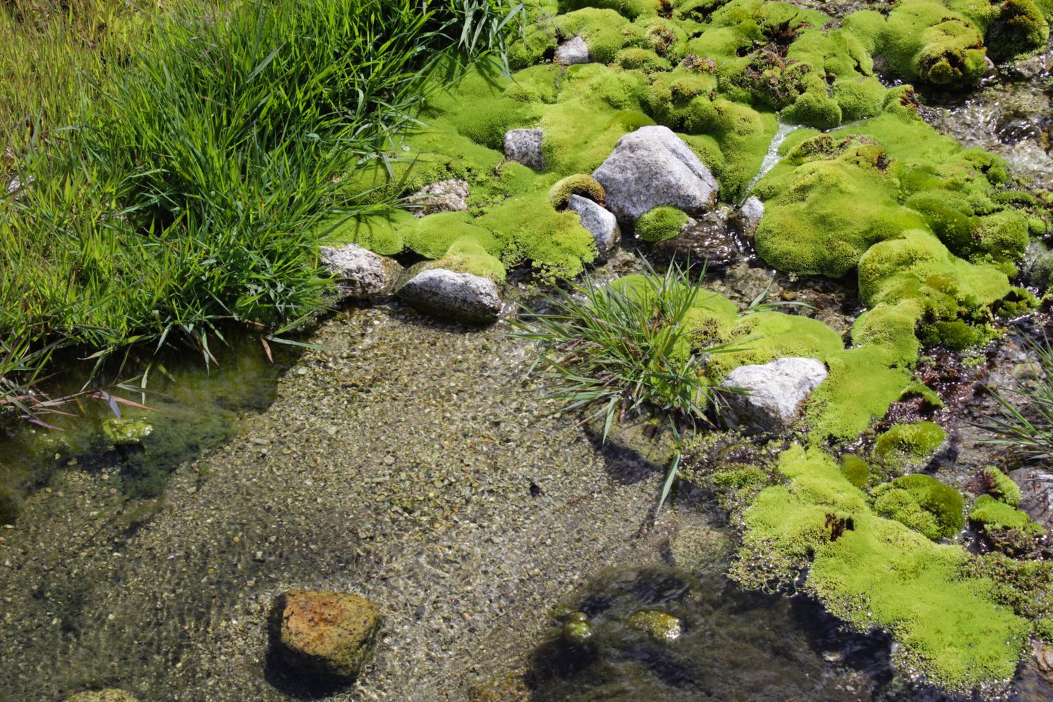 Непостижимое сердце Укока за 4 дня (4/32)