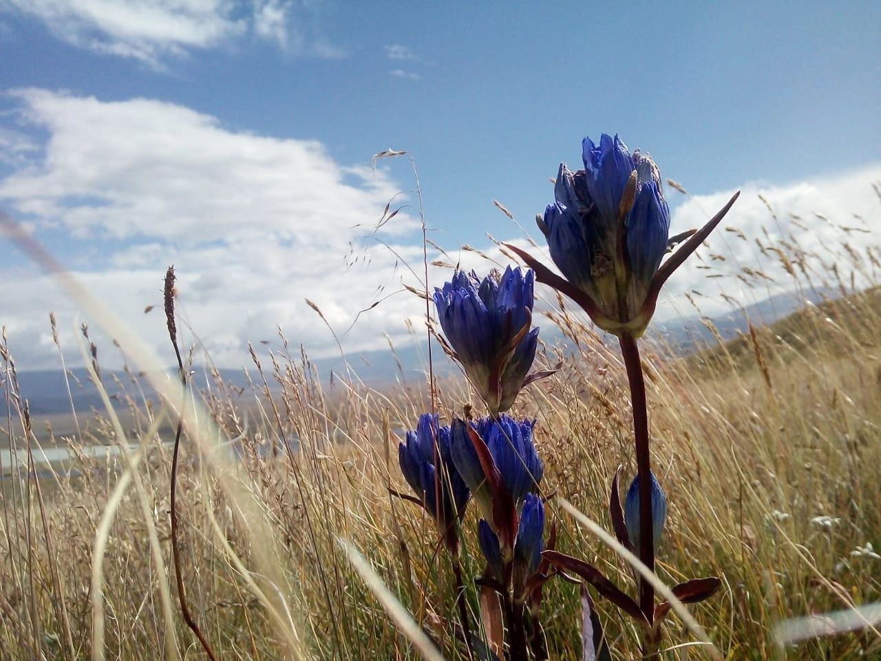 Непостижимое сердце Укока за 4 дня (15/32)