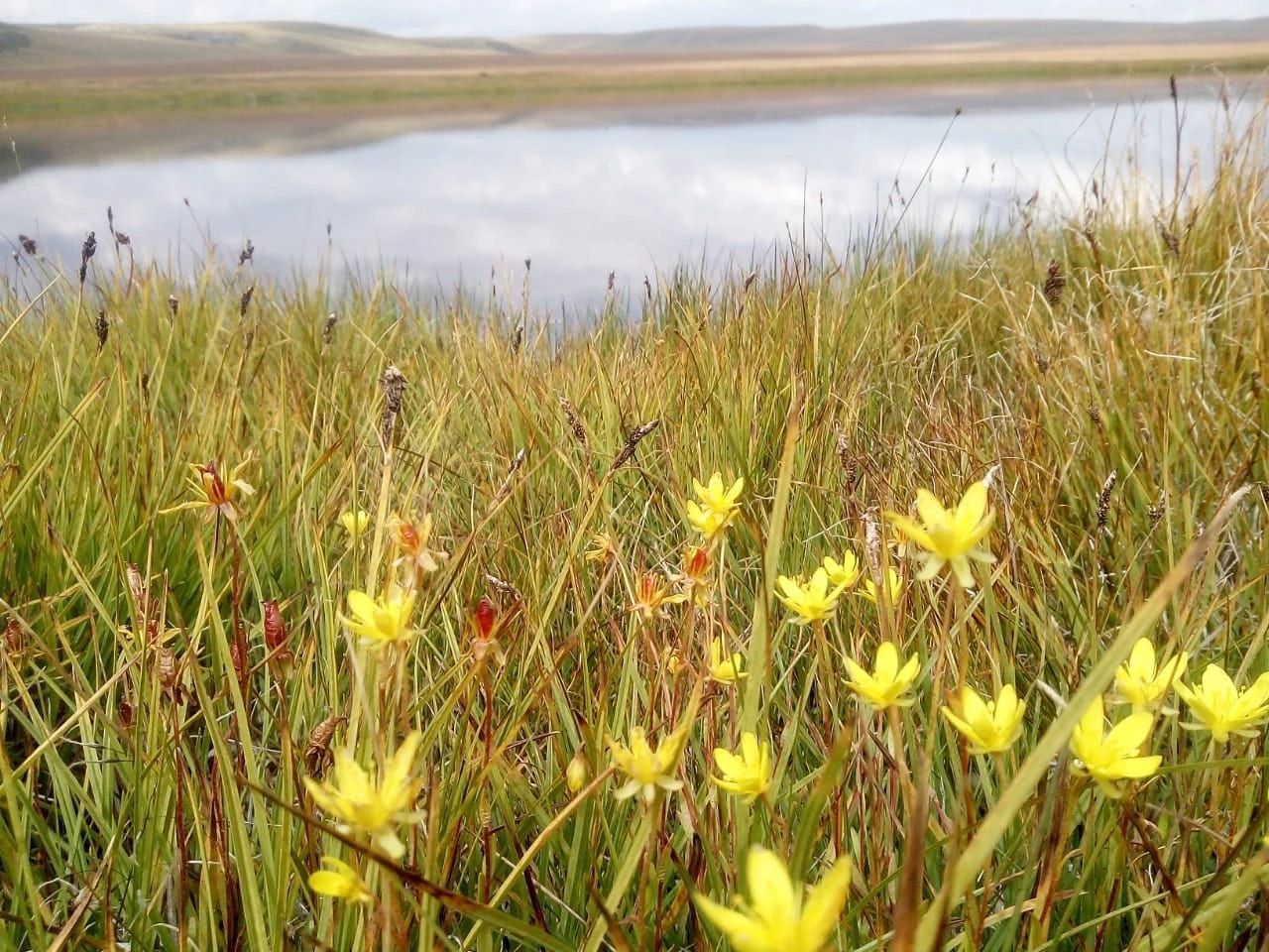 Непостижимое сердце Укока за 4 дня (18/32)
