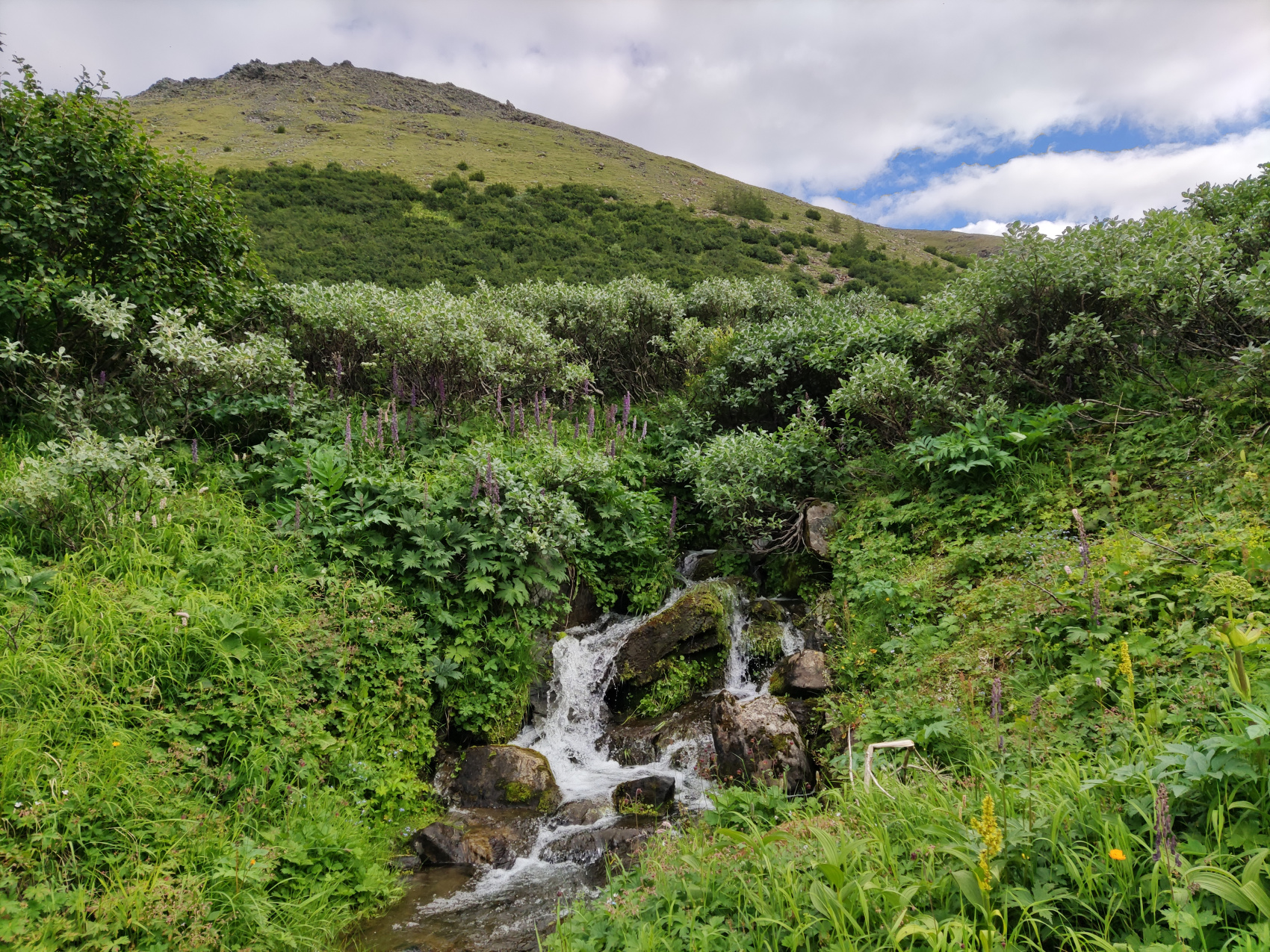 Открывая Ямал (6/18)