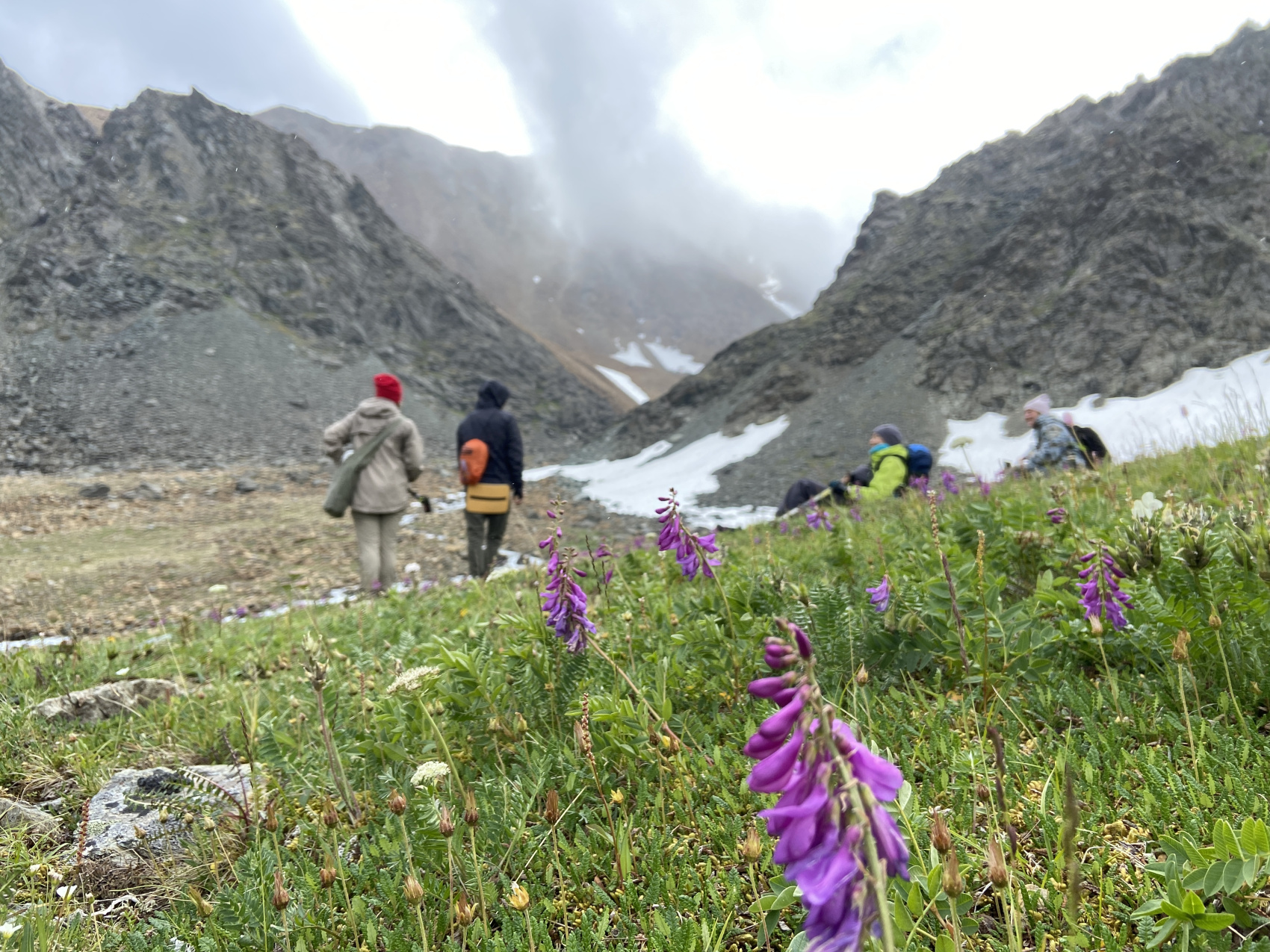 Открывая Ямал (9/18)