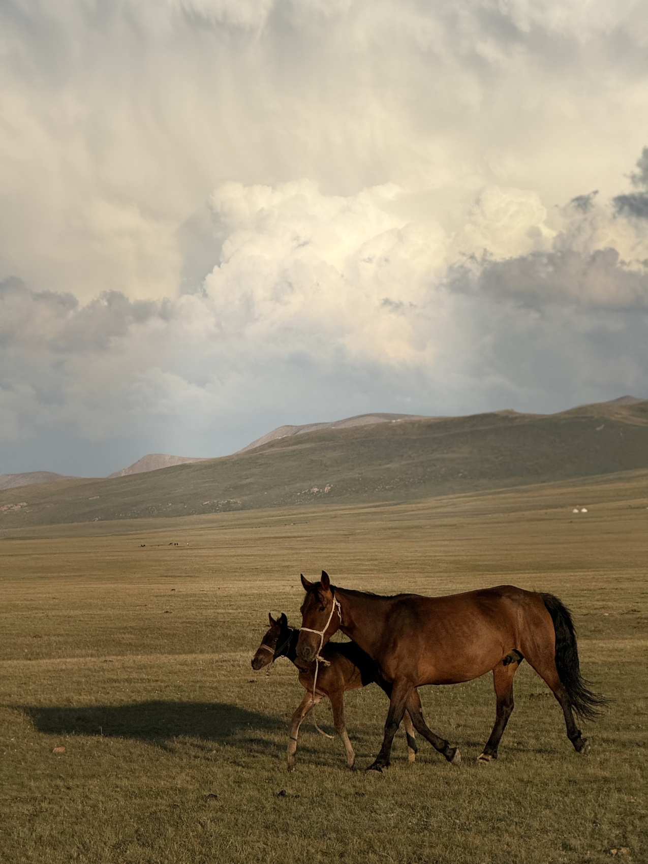 Джип-тур по Кыргызстану! Полная программа. (80/119)