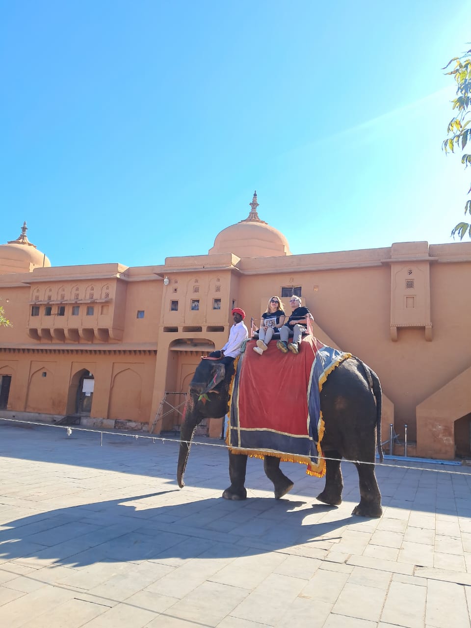 От Таджа до Джодхпура: 7-дневное индийское приключение (13/22)