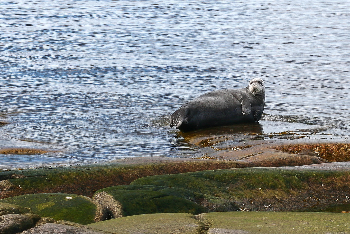 В гостях у поморов: на Южный берег Белого моря 7 дней (4/68)