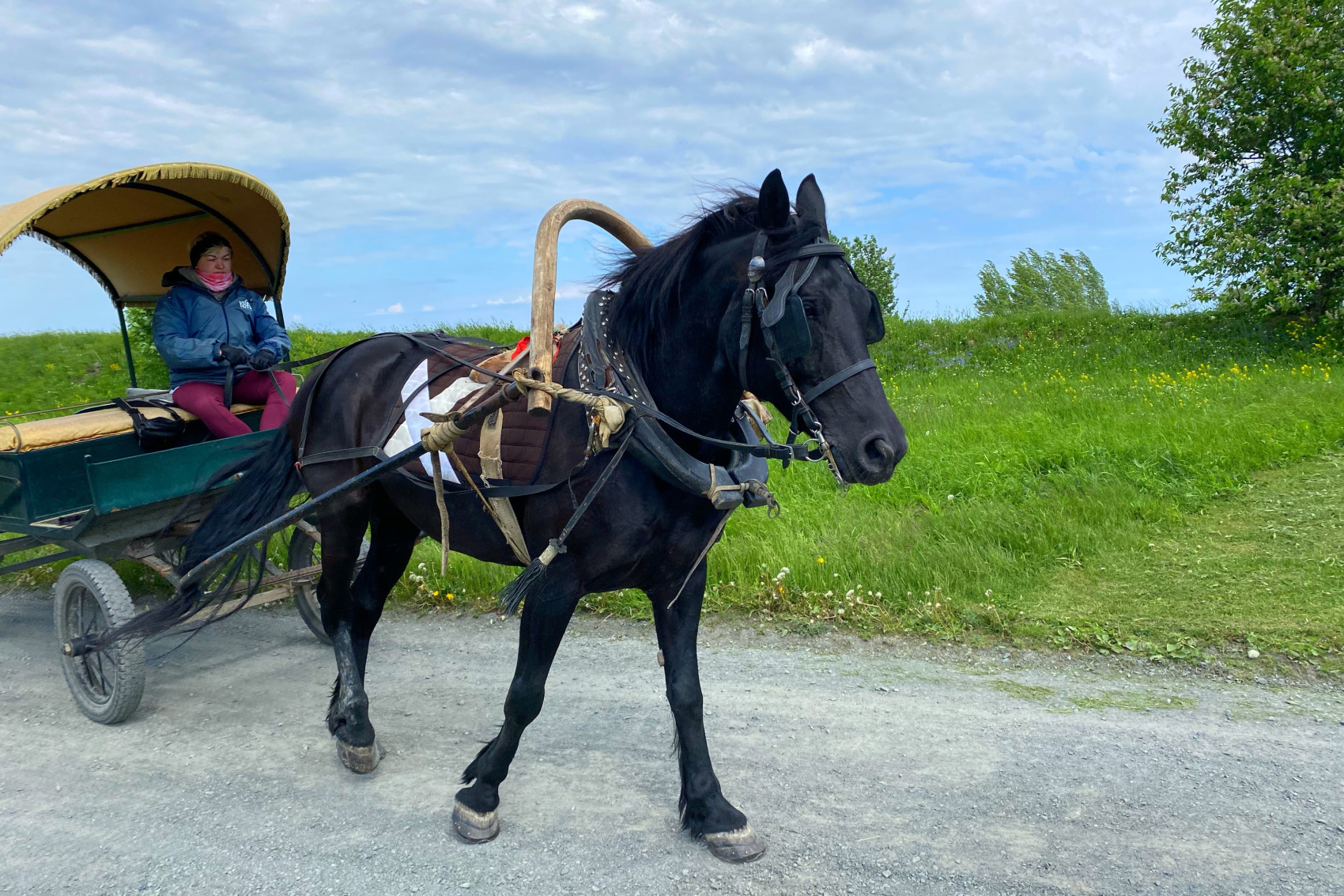 Карелия Классика + Этно за 4 дня! (группа до 6 чел.) (8/26)