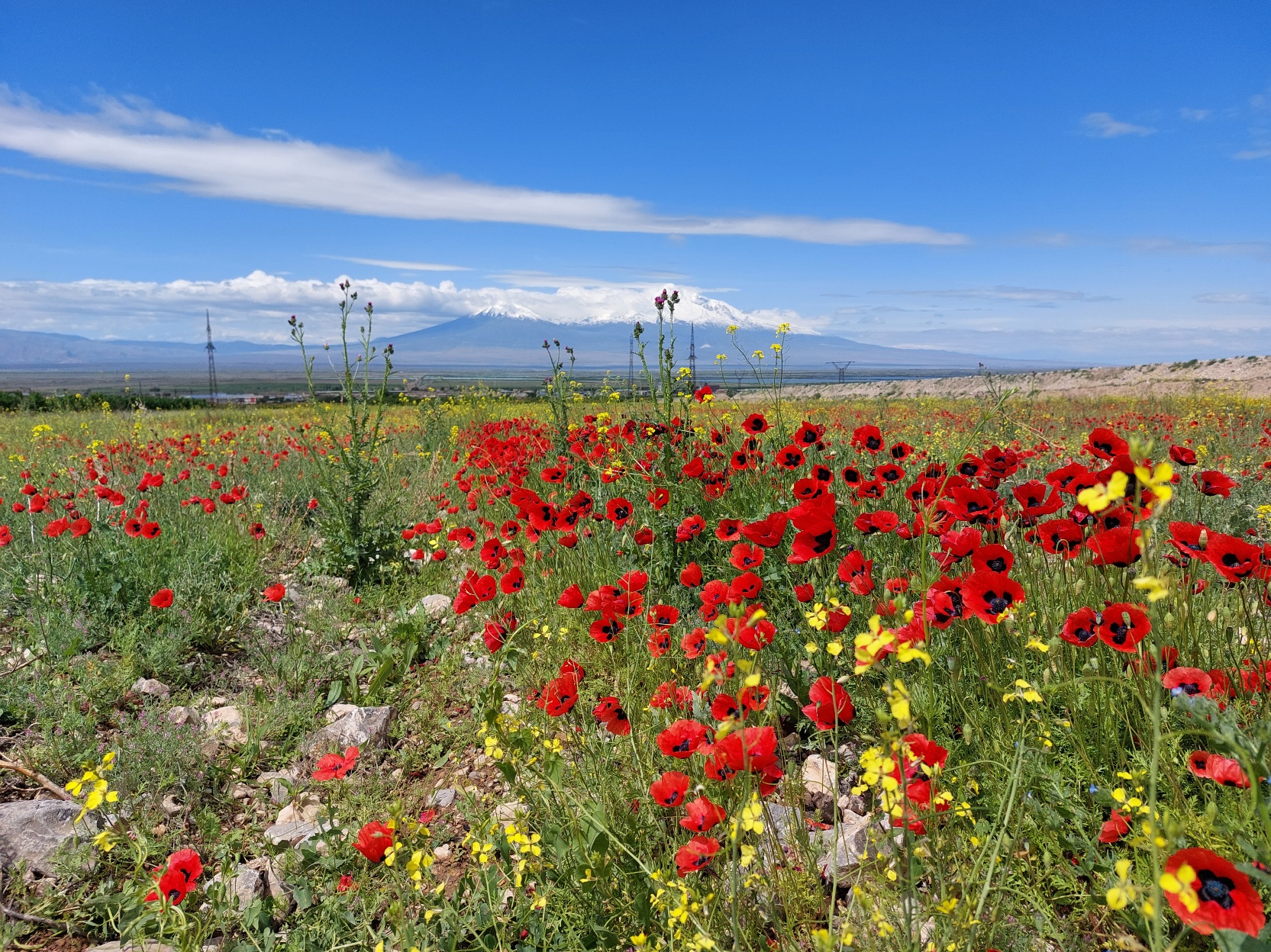 В гости к хоббитам в Армению! Вся Армения за 5 дней! (3/29)