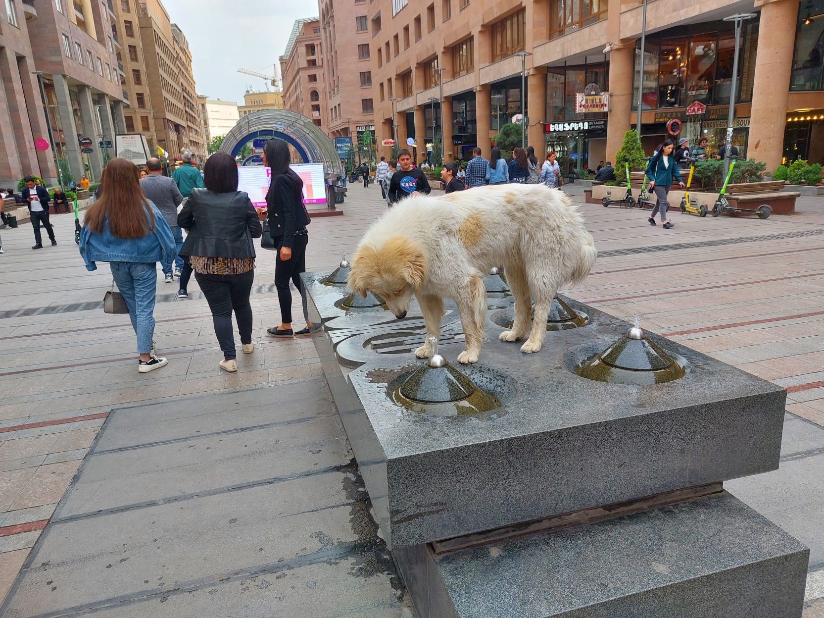 В гости к хоббитам в Армению! Вся Армения за 5 дней! (11/29)