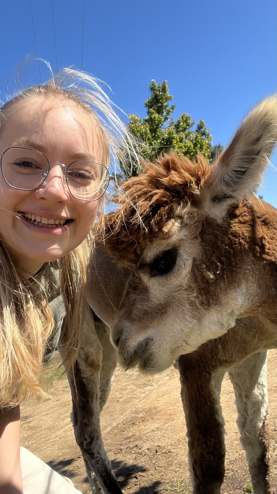 Юар: насыщенный тур на край света + полет на вертолете (32/120)