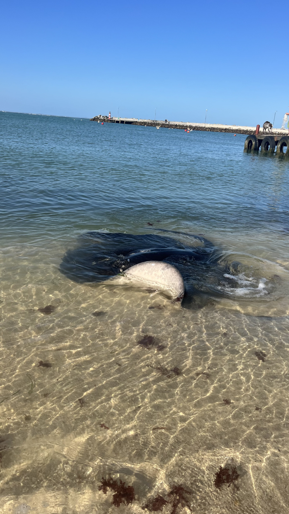 Юар: насыщенный тур на край света + полет на вертолете (76/120)