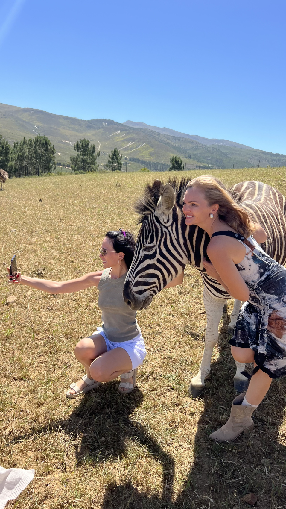 Юар: насыщенный тур на край света + полет на вертолете (88/120)