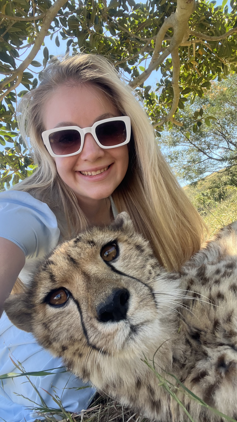 Юар: насыщенный тур на край света + полет на вертолете (77/120)