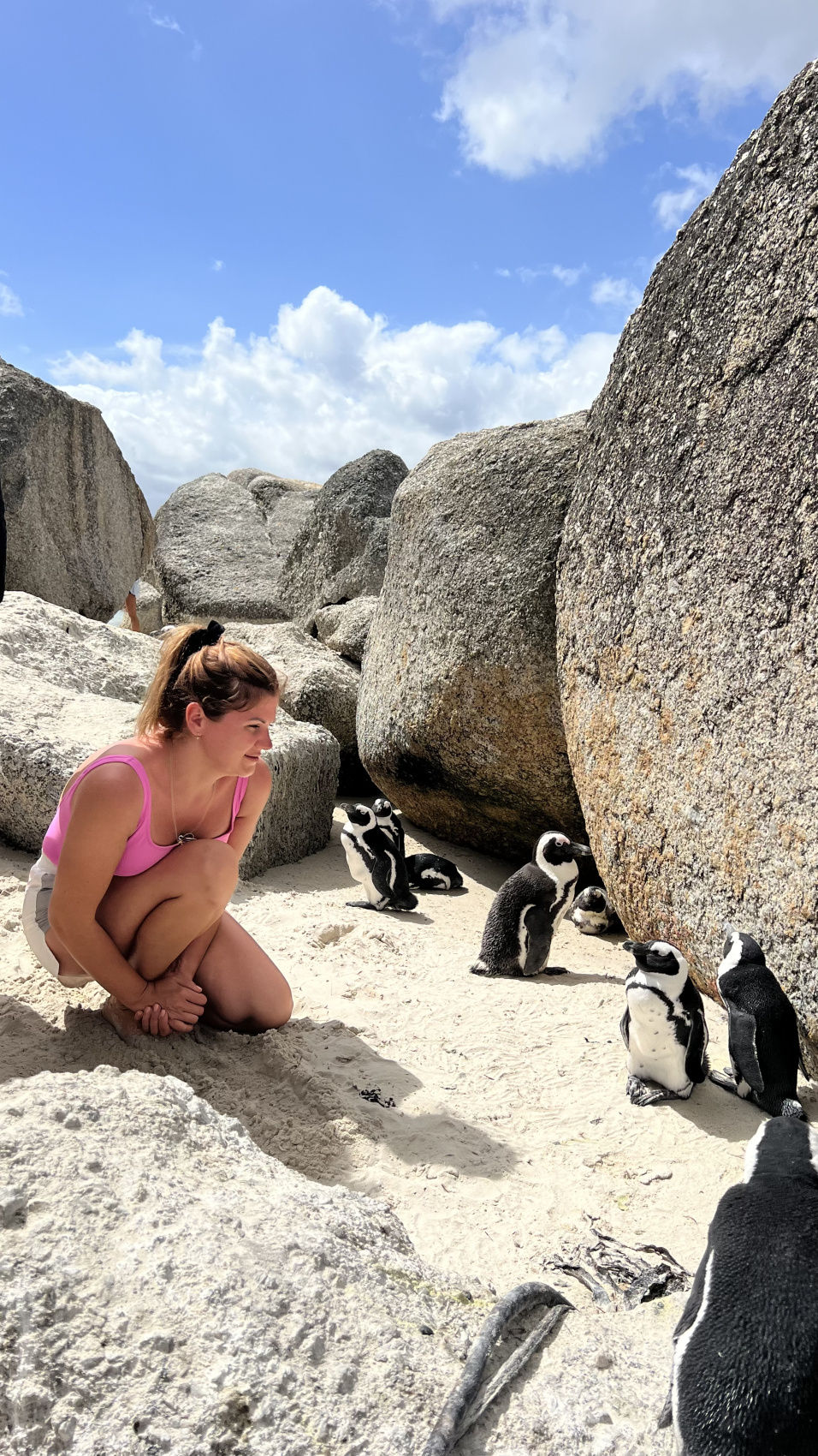 Юар: насыщенный тур на край света + полет на вертолете (65/120)