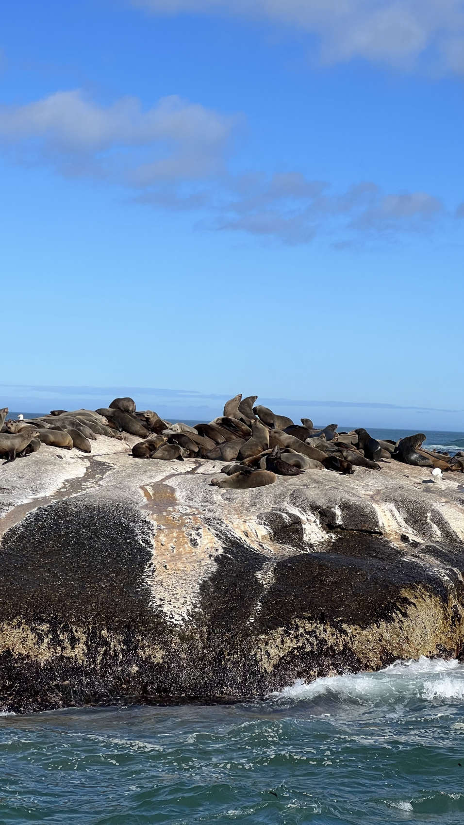 Юар: насыщенный тур на край света + полет на вертолете (35/120)