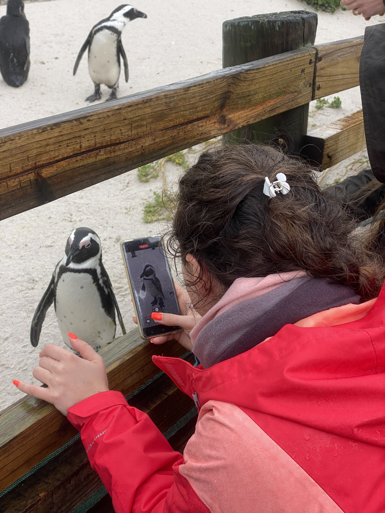 Юар: насыщенный тур на край света + полет на вертолете (36/120)