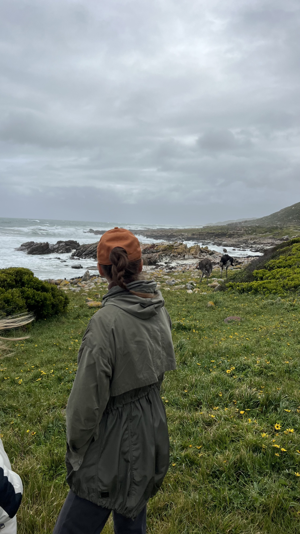 Юар: насыщенный тур на край света + полет на вертолете (43/120)