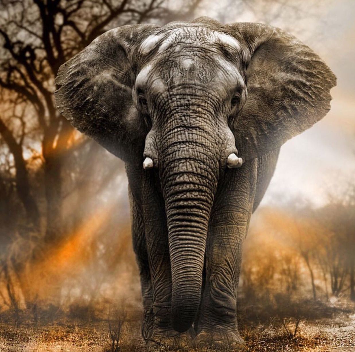 Юар: насыщенный тур на край света + полет на вертолете (5/120)