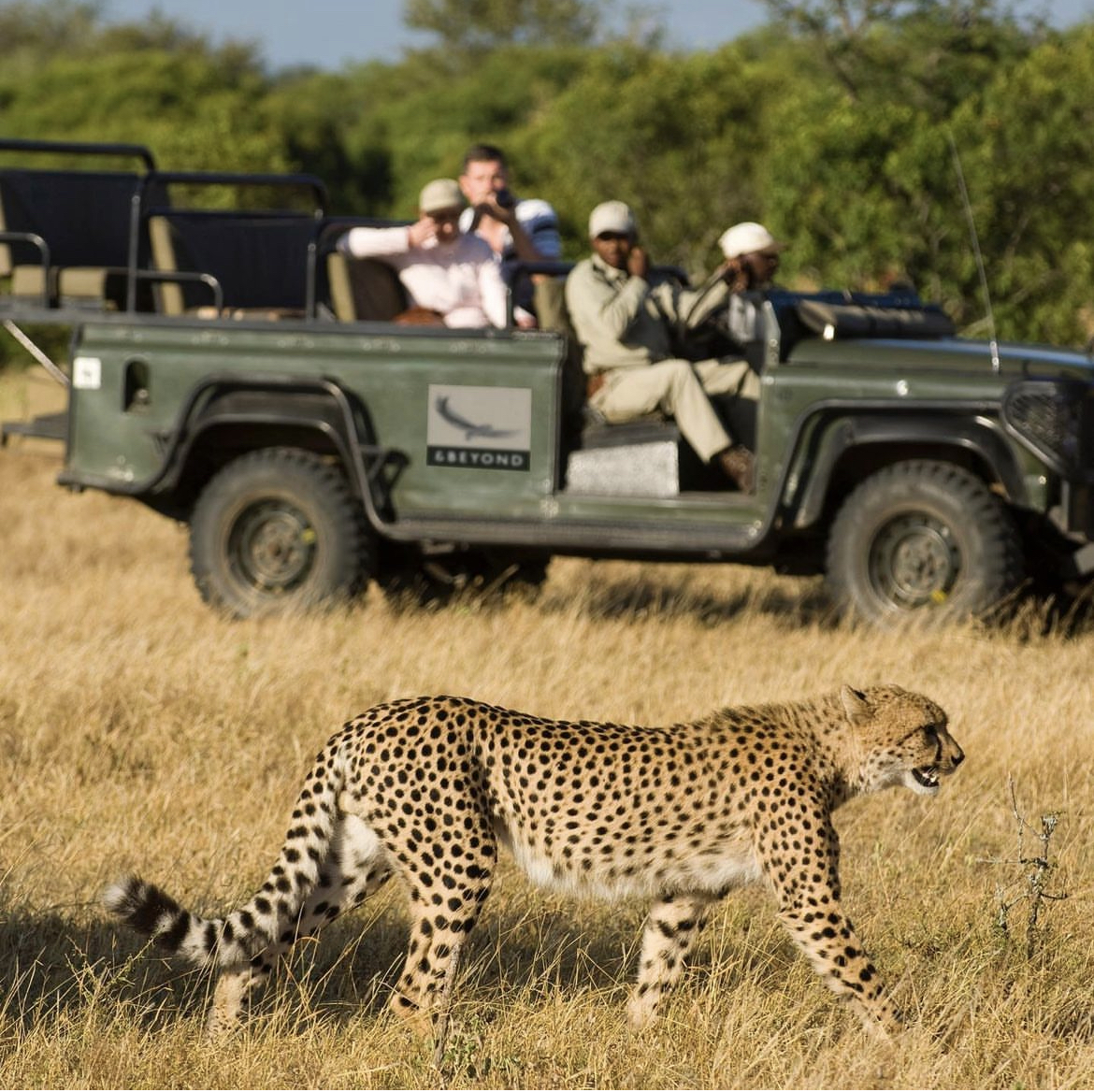 Юар: насыщенный тур на край света + полет на вертолете (22/120)
