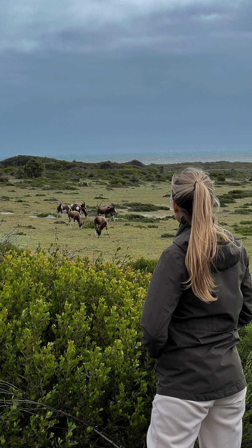 Юар: насыщенный тур на край света + полет на вертолете (37/120)