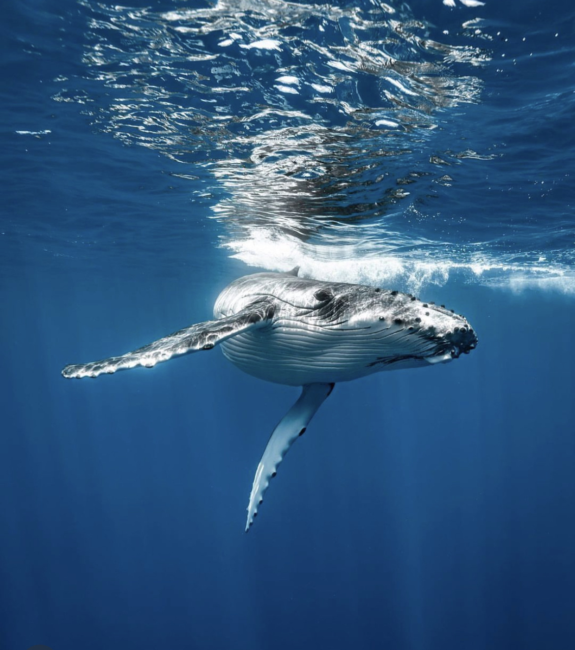 Юар: насыщенный тур на край света + полет на вертолете (90/120)