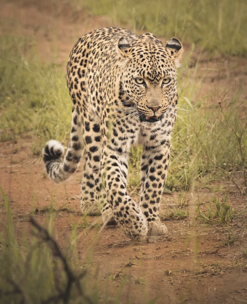 Юар: насыщенный тур на край света + полет на вертолете (15/120)