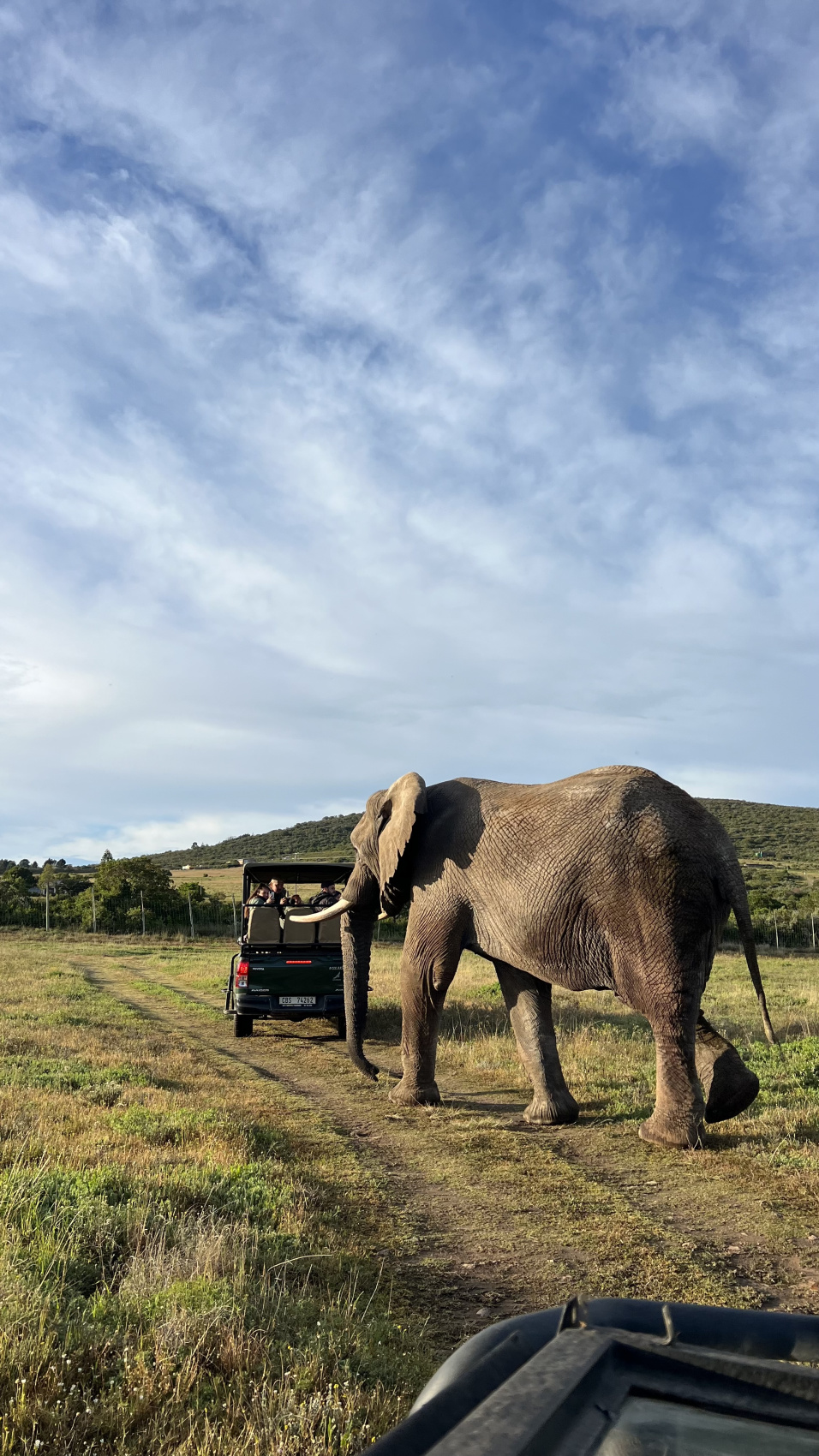 Юар: насыщенный тур на край света + полет на вертолете (24/120)