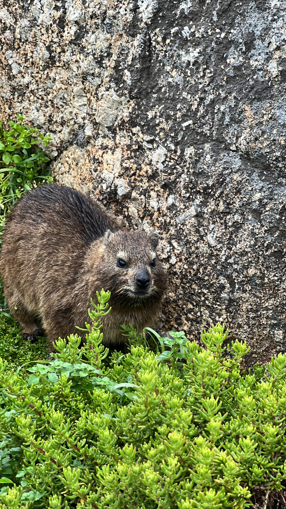 Юар: насыщенный тур на край света + полет на вертолете (42/120)