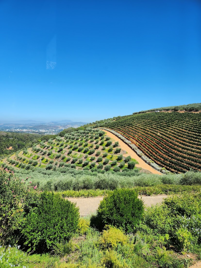 Юар: насыщенный тур на край света + полет на вертолете (8/120)