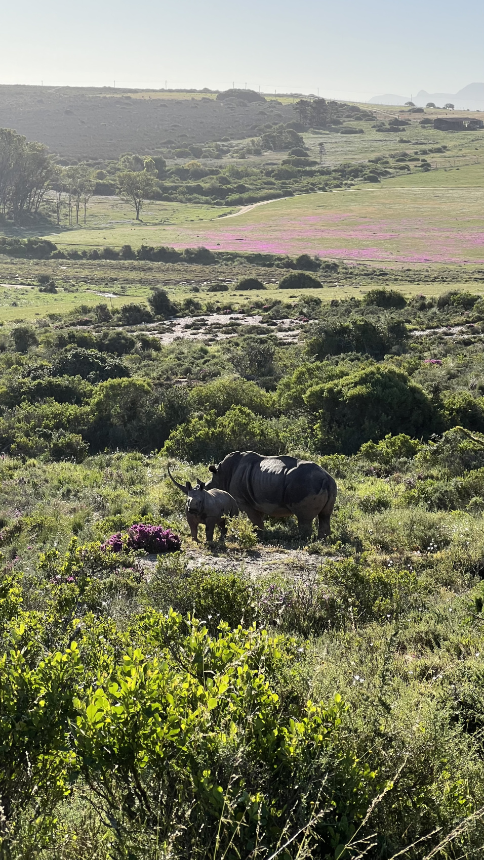 Юар: насыщенный тур на край света + полет на вертолете (27/120)