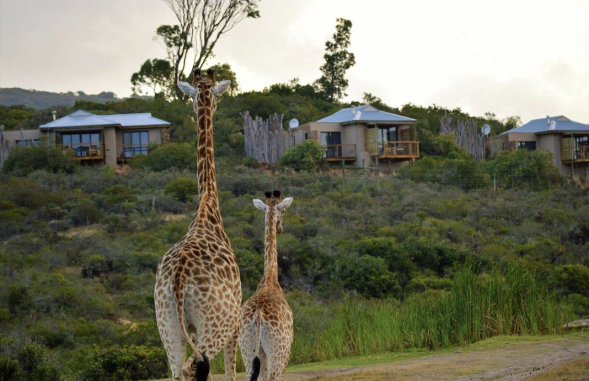 Юар: насыщенный тур на край света + полет на вертолете (89/120)