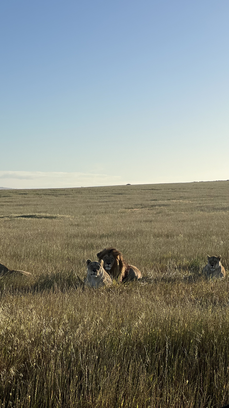 Юар: насыщенный тур на край света + полет на вертолете (26/120)