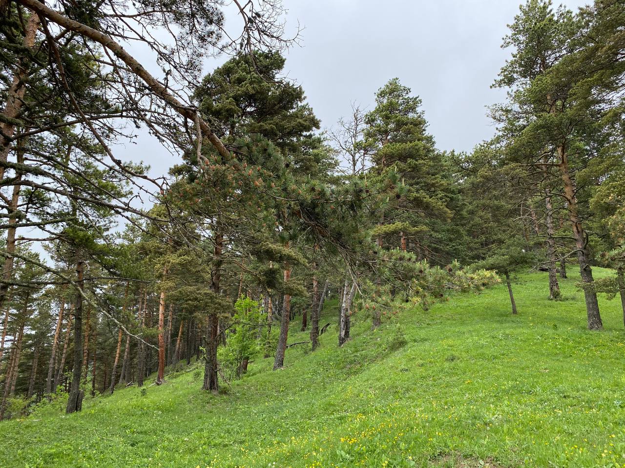 Джип-тур на выходные по горной Ингушетии (46/95)