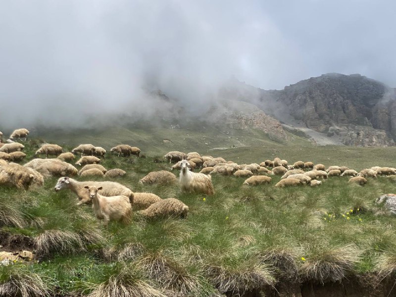 Джип-тур на выходные по горной Ингушетии (26/95)