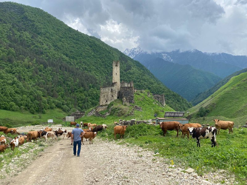 Джип-тур на выходные по горной Ингушетии (30/95)